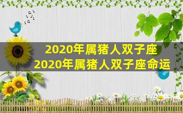 2020年属猪人双子座 2020年属猪人双子座命运